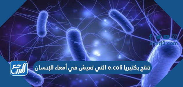تنتج بكتيريا e.coli التي تعيش في أمعاء الإنسان