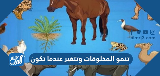 تنمو المخلوقات وتتغير عندما تكون