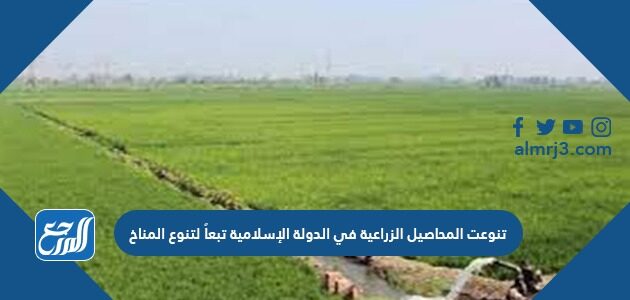 تنوعت المحاصيل الزراعية في الدولة الإسلامية تبعاً لتنوع المناخ