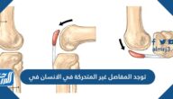 قدرة مفاصل الجسم على الحركة بسهولة ولأقصى مدى