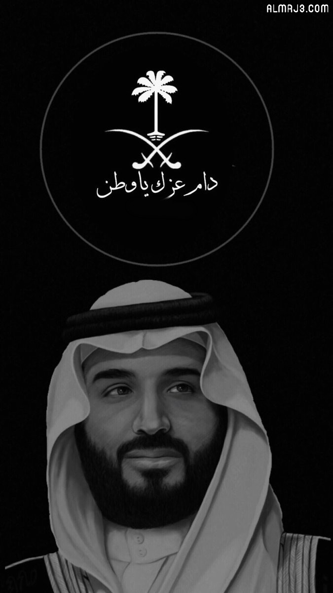 ثيمات دام عزك يا وطن