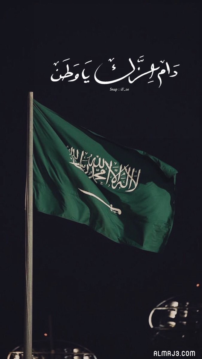 ثيمات دام عزك يا وطن