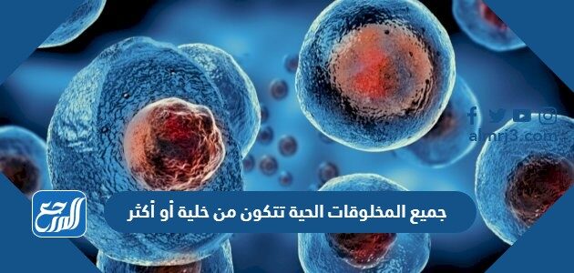جميع المخلوقات الحية تتكون من خلية أو أكثر