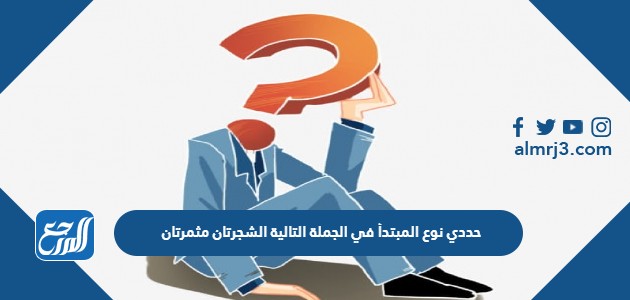 حددي نوع المبتدأ في الجملة التالية الشجرتان مثمرتان
