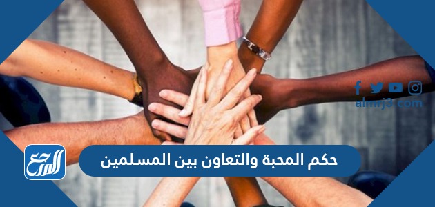 حكم المحبة والتعاون بين المسلمين