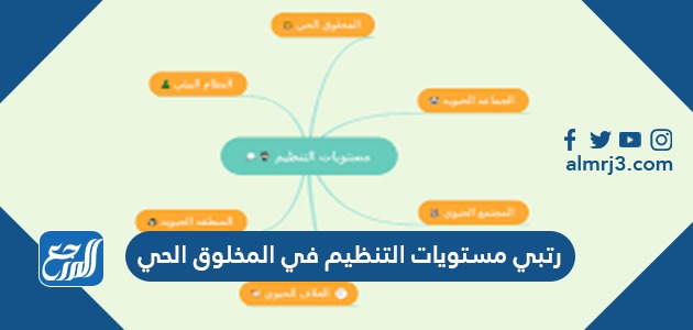 رتبي مستويات التنظيم في المخلوق الحي