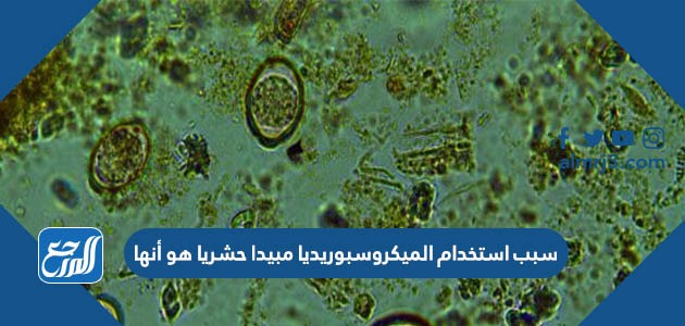 سبب استخدام الميكروسبوريديا مبيدا حشريا هو أنها