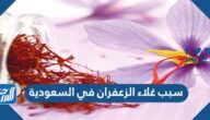 سبب غلاء الزعفران في السعودية