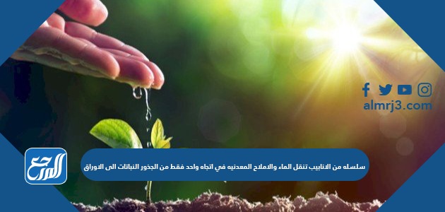 سلسله من الانابيب تنقل الماء والاملاح المعدنيه في اتجاه واحد فقط من الجذور النباتات الى الاوراق