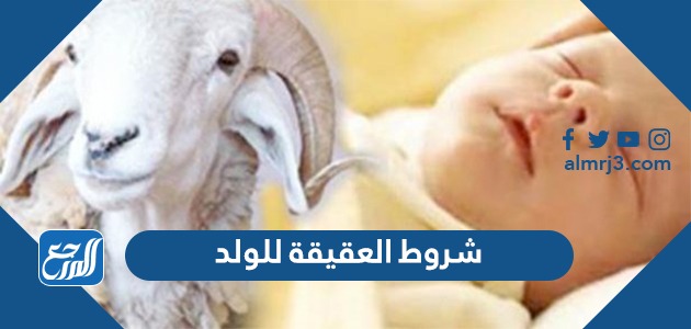 شروط العقيقة للولد