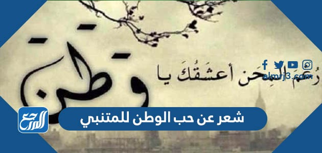 شعر عن حب الوطن للمتنبي
