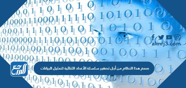 صمم هذا النظام من أجل تصغير سلسلة الأعداد الثنائية لتمثيل البيانات