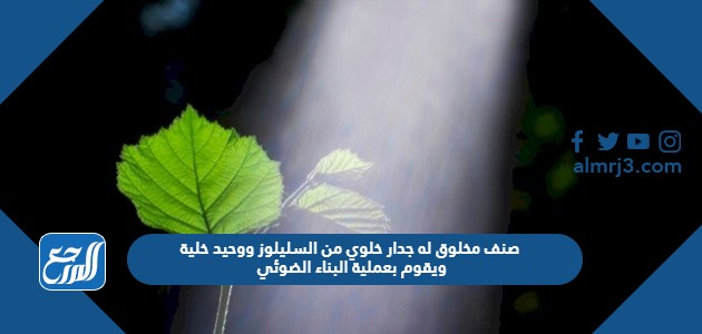 صنف مخلوق له جدار خلوي من السليلوز ووحيد خلية ويقوم بعملية البناء الضوئي