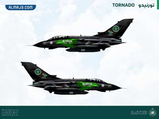 صور الطائرات المشاركة في استعراض الطيران اليوم الوطني 91