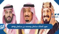 صور الملك سلمان ومحمد بن سلمان png