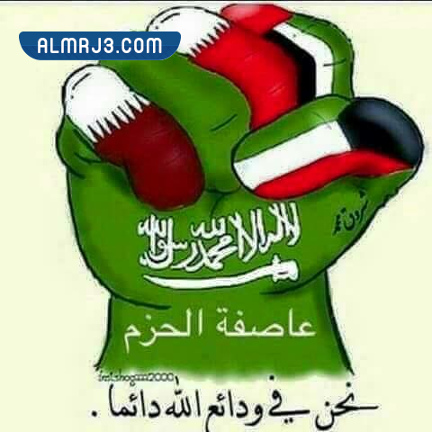 صور عاصفة الحزم الملك سلمان