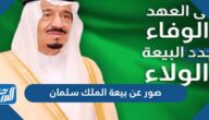 صور عن بيعة الملك سلمان ، خلفيات عن ذكرى البيعه الثامنة للملك سلمان