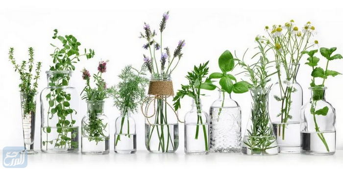 صور هدايا المعلمات في يوم المعلم