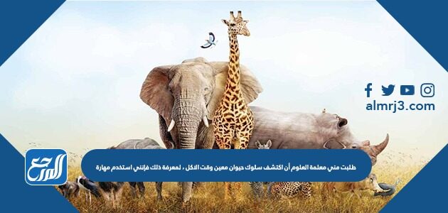 طلبت مني معلمة العلوم أن اكتشف سلوك حيوان معين وقت الاكل ، لمعرفة ذلك فإنني استخدم مهارة