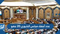 عدد أعضاء مجلس الشورى 20 عضو