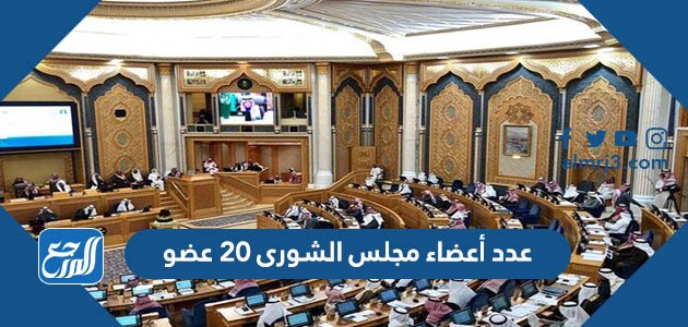 عدد أعضاء مجلس الشورى 20 عضو