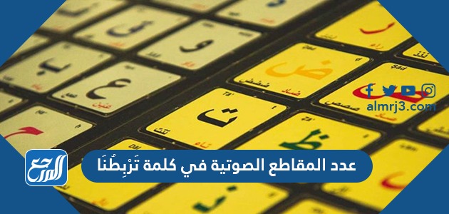 عدد المقاطع الصوتية في كلمة تَرْبِطُنَا