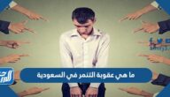 ما هي عقوبة التنمر في السعودية