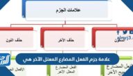 لا تهمل واجبك . علامة جزم تهمل