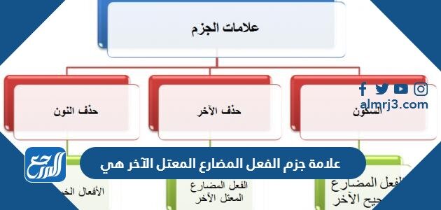 ادوات الجزم