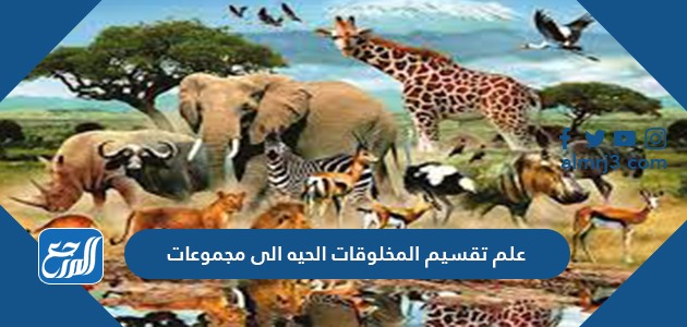 علم تقسيم المخلوقات الحيه الى مجموعات