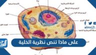 على ماذا تنص نظرية الخلية