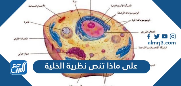 على ماذا تنص نظرية الخلية