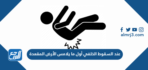 عند السقوط الخلفي أول ما يلامس الأرض المقعدة