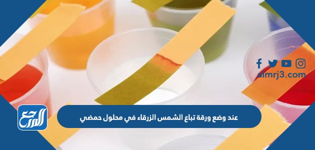 عند وضع ورقة تباع الشمس الزرقاء في محلول حمضي