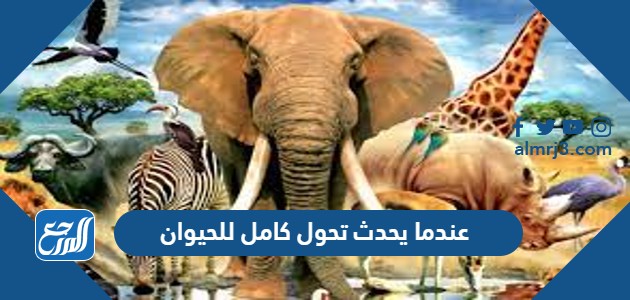 عندما يحدث تحول كامل للحيوان