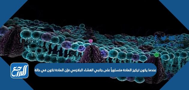 عندما يكون تركيز المادة متساوياً على جانبي الغشاء البلازمي فإن المادة تكون في حالة
