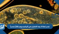 فسر لماذا لا يعد الاقتران في البراميسيوم تكاثراً جنسياً