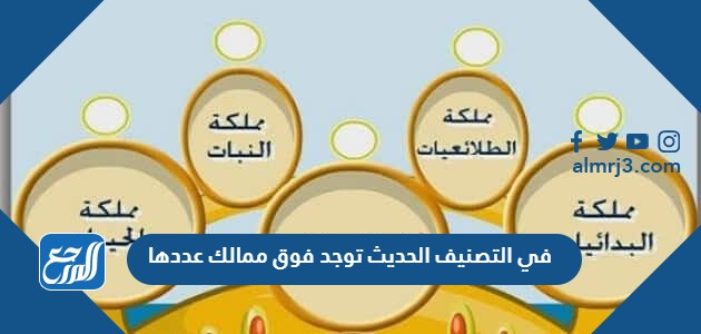 في التصنيف الحديث توجد فوق ممالك عددها