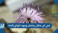 في اي مكان يحتمل وجود انواع رائدة