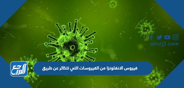 فيروس الانفلونزا من الفيروسات التي تتكاثر عن طريق