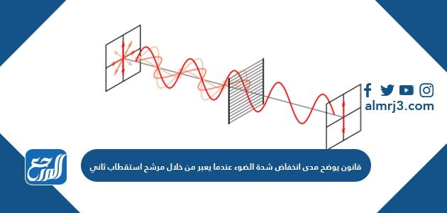 قانون يوضح مدى انخفاض شدة الضوء عندما يعبر من خلال مرشح استقطاب ثاني
