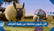 كان شون مختلفا عن بقية الخراف