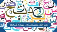 كلمة الأذى ثلاثي كتب على صورة ياء لأن اصلة
