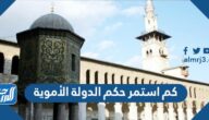 كم استمر حكم الدولة الأموية