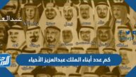 كم عدد أبناء الملك عبدالعزيز الأحياء