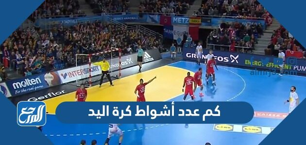 كم عدد أشواط كرة اليد