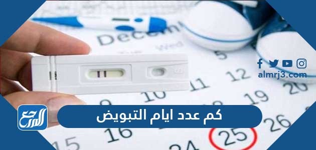 كم عدد ايام التبويض وكيف تحسب عند النساء