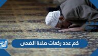 كم عدد ركعات صلاة الضحى