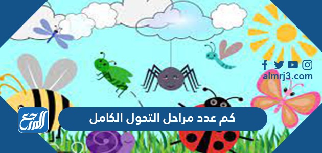 كم عدد مراحل التحول الكامل