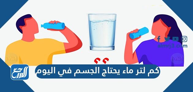 كم لتر ماء يحتاج الجسم في اليوم